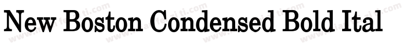 New Boston Condensed Bold Italic字体转换